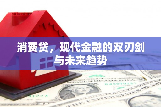二仑消费贷，现代金融的双刃剑与未来趋势