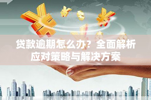 二仑贷款逾期怎么办？全面解析应对策略与解决方案