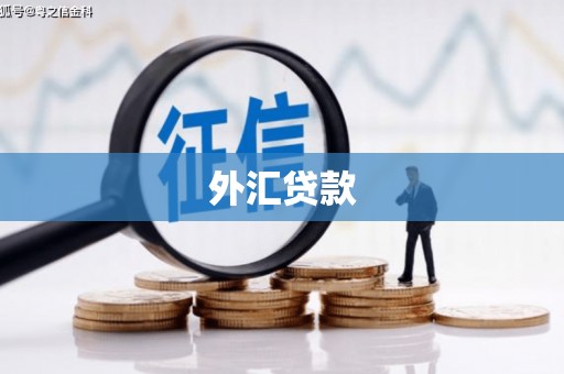 二仑外汇贷款