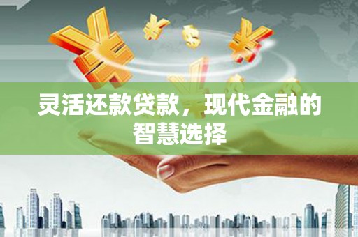 二仑灵活还款贷款，现代金融的智慧选择
