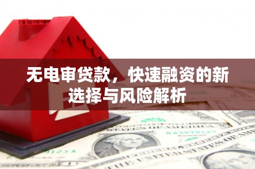 二仑无电审贷款，快速融资的新选择与风险解析