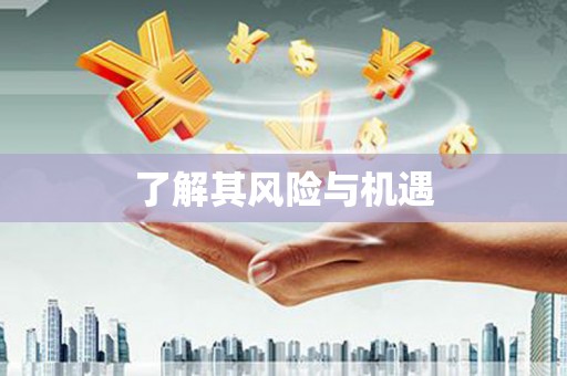 二仑了解其风险与机遇