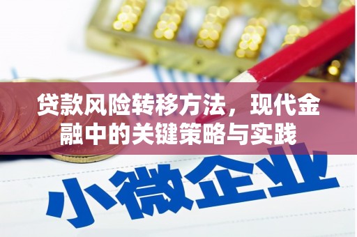 二仑贷款风险转移方法，现代金融中的关键策略与实践