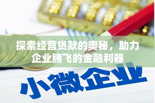 二仑探索经营贷款的奥秘，助力企业腾飞的金融利器