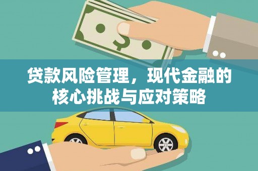 二仑贷款风险管理，现代金融的核心挑战与应对策略