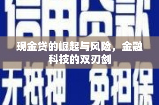 二仑现金贷的崛起与风险，金融科技的双刃剑