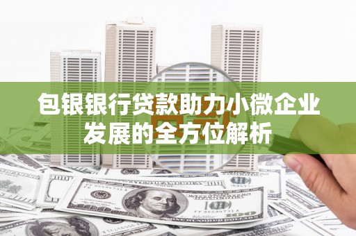 二仑包银银行贷款助力小微企业发展的全方位解析