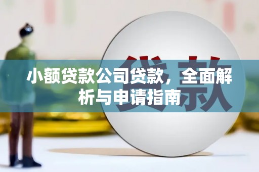 二仑小额贷款公司贷款，全面解析与申请指南