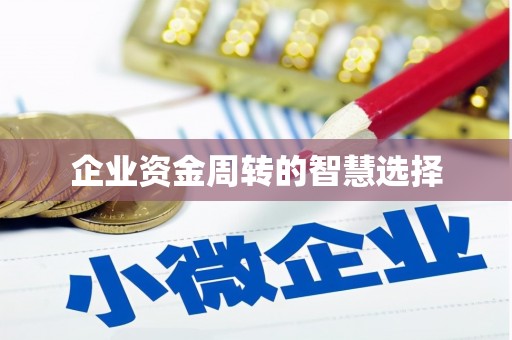 二仑企业资金周转的智慧选择
