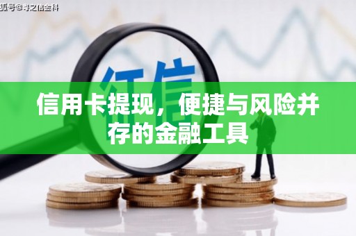 二仑信用卡提现，便捷与风险并存的金融工具