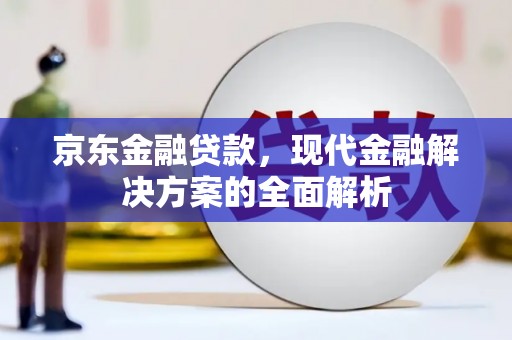 二仑京东金融贷款，现代金融解决方案的全面解析