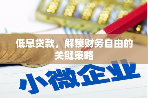 二仑低息贷款，解锁财务自由的关键策略