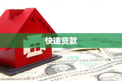 二仑快速贷款