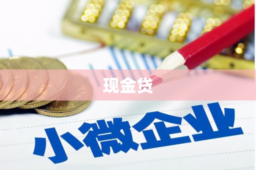 二仑现金贷