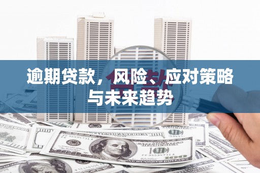 二仑逾期贷款，风险、应对策略与未来趋势