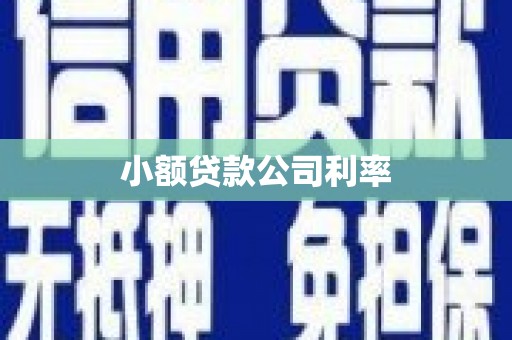 二仑小额贷款公司利率