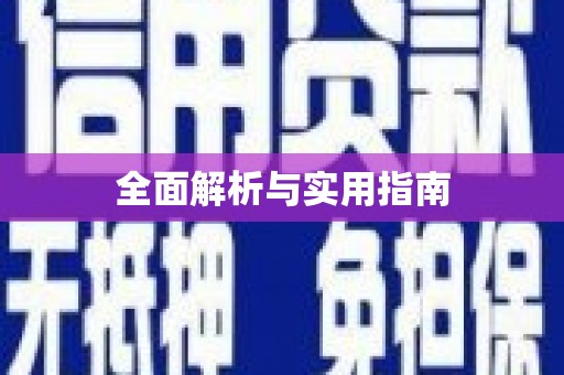 二仑全面解析与实用指南