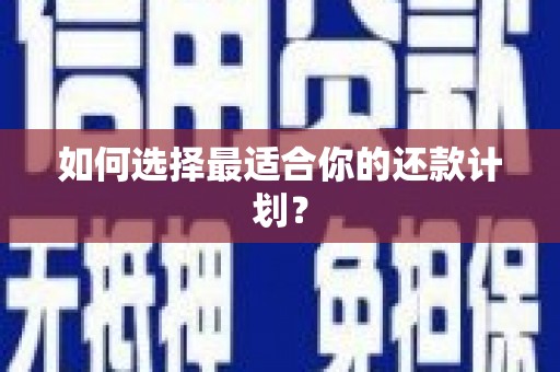 二仑如何选择最适合你的还款计划？
