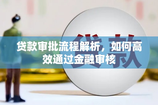 二仑贷款审批流程解析，如何高效通过金融审核