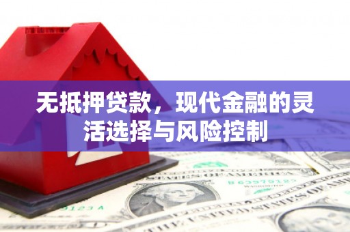 二仑无抵押贷款，现代金融的灵活选择与风险控制