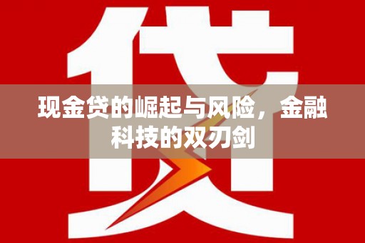 二仑现金贷的崛起与风险，金融科技的双刃剑