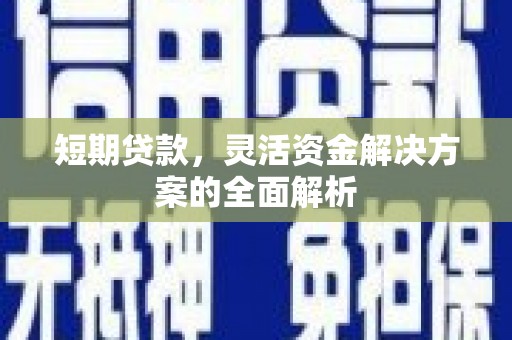 二仑短期贷款，灵活资金解决方案的全面解析