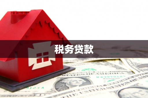 二仑税务贷款