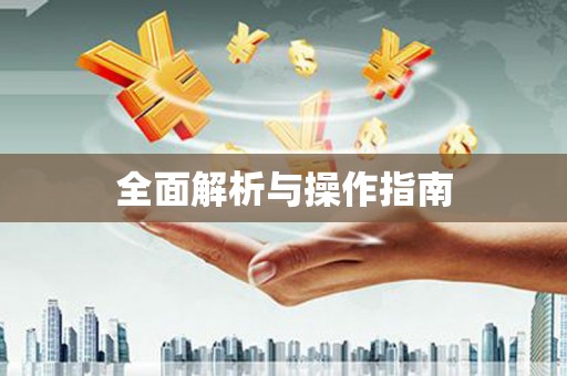 二仑全面解析与操作指南