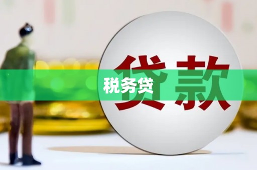 二仑税务贷