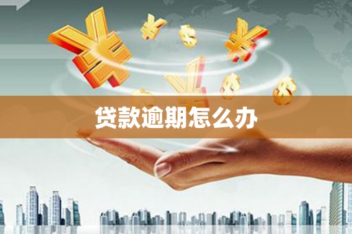 二仑贷款逾期怎么办