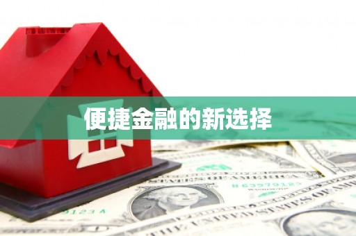二仑便捷金融的新选择