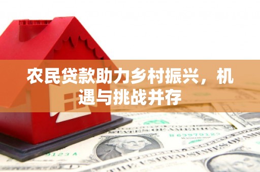 二仑农民贷款助力乡村振兴，机遇与挑战并存