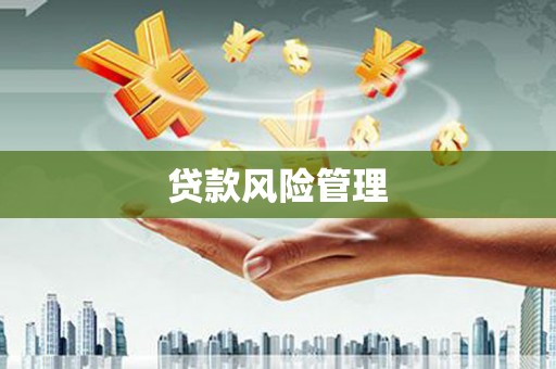 二仑贷款风险管理