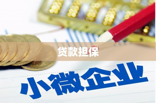二仑贷款担保