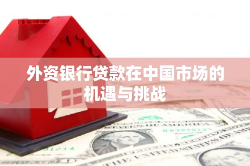 二仑外资银行贷款在中国市场的机遇与挑战