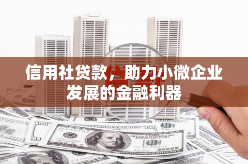 二仑信用社贷款，助力小微企业发展的金融利器