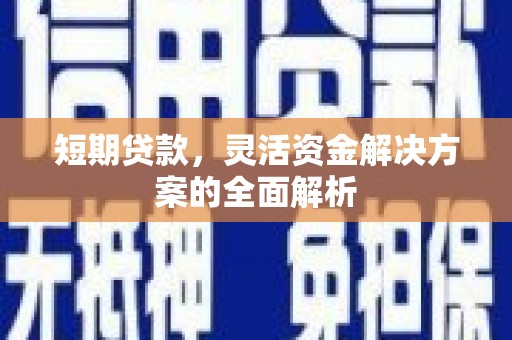 二仑短期贷款，灵活资金解决方案的全面解析