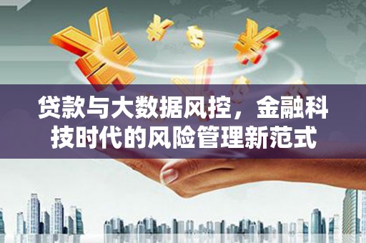 二仑贷款与大数据风控，金融科技时代的风险管理新范式
