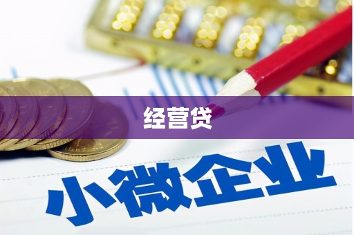 二仑经营贷