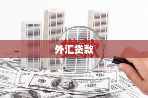 二仑外汇贷款