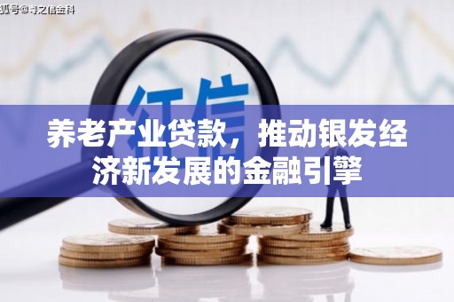 二仑养老产业贷款，推动银发经济新发展的金融引擎