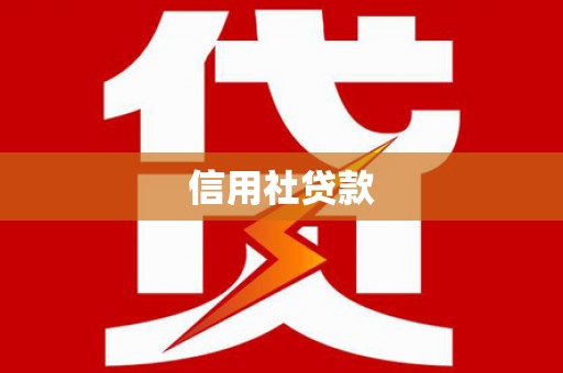 二仑信用社贷款