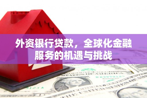 二仑外资银行贷款，全球化金融服务的机遇与挑战
