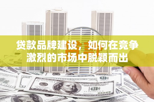 二仑贷款品牌建设，如何在竞争激烈的市场中脱颖而出