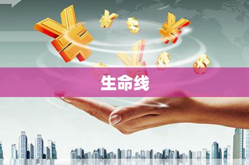 二仑生命线