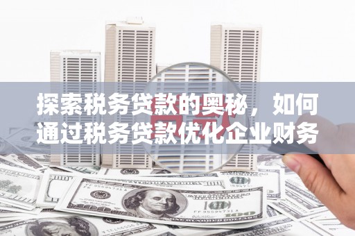 二仑探索税务贷款的奥秘，如何通过税务贷款优化企业财务