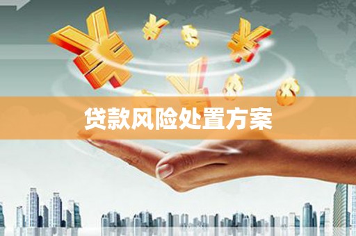 二仑贷款风险处置方案