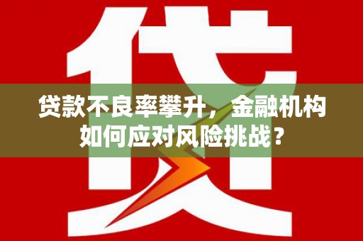 二仑贷款不良率攀升，金融机构如何应对风险挑战？