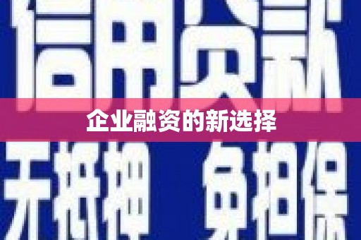 二仑企业融资的新选择