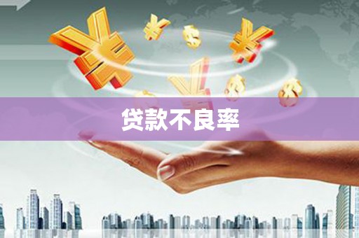 二仑贷款不良率